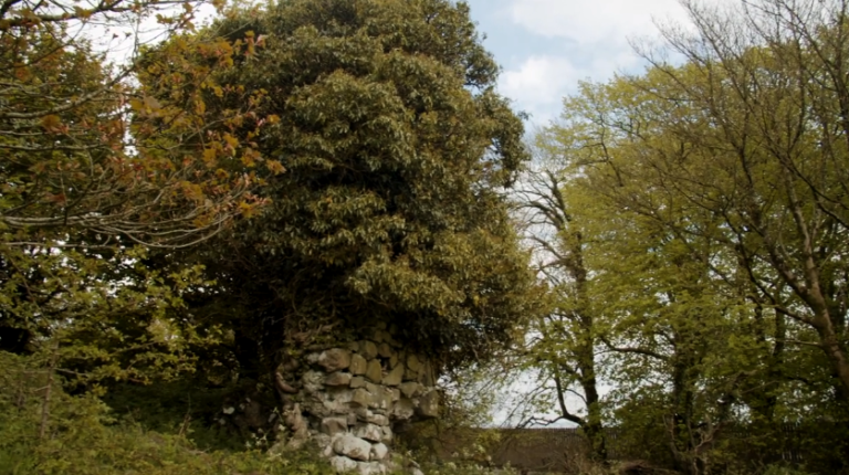 The ivy-covered ruins at Castle Robin