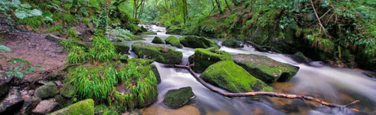 Colin Glen river 900x275 1